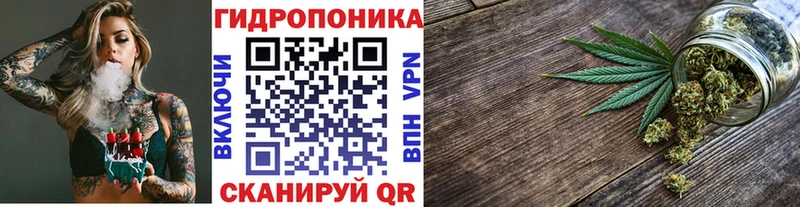 Бошки марихуана план  Межгорье 